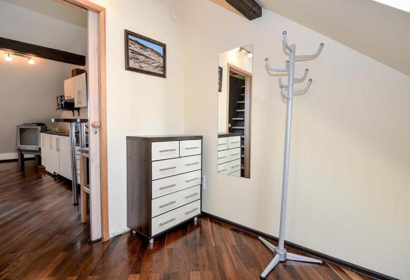 آپارتمان 1 خوابه, Nidos Gaiva, Svečių Namai