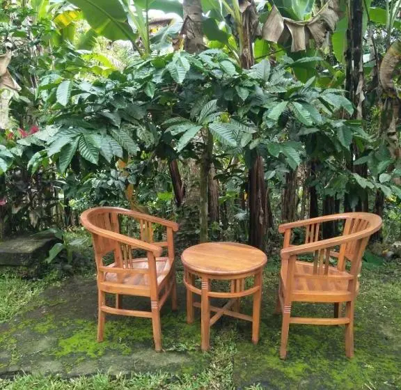 デラックスルーム, Purana Guest House