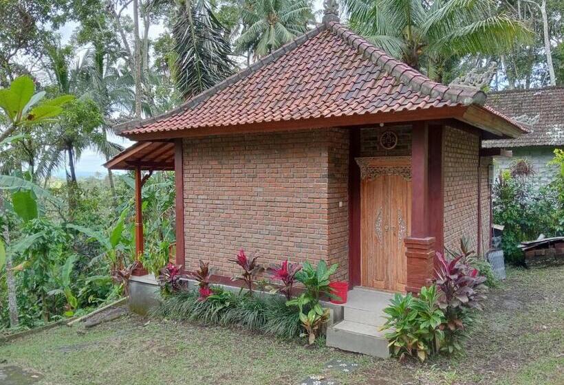 اتاق لوکس, Purana Guest House