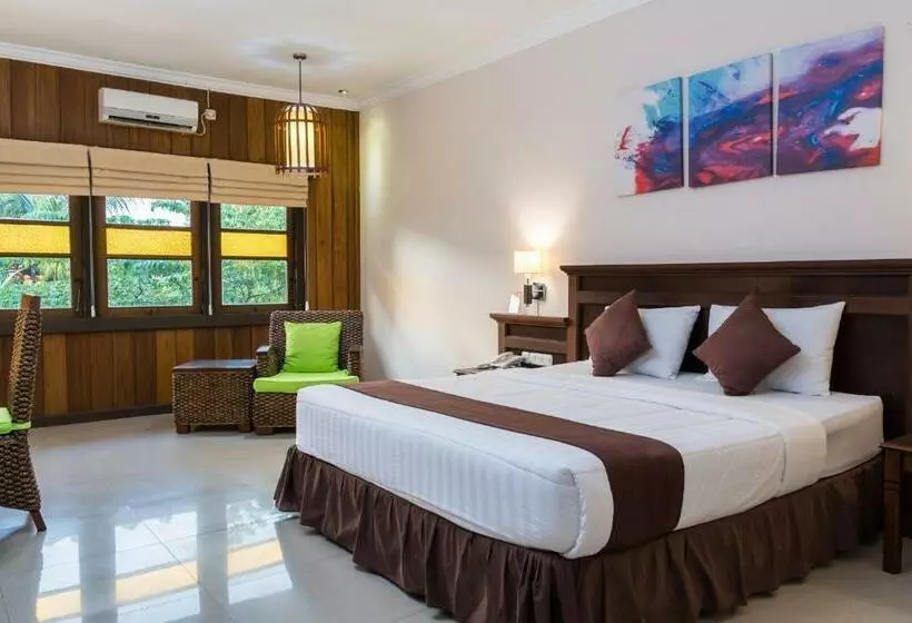 デラックスルーム, Arsela Hotel Pangkalan Bun