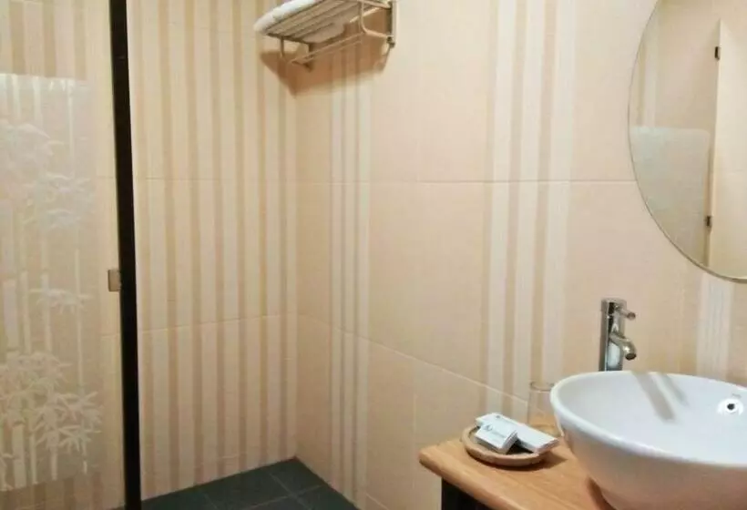 デラックスルーム, Arsela Hotel Pangkalan Bun