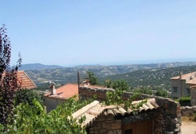 标准间, The Frogs House Yoga Retreat