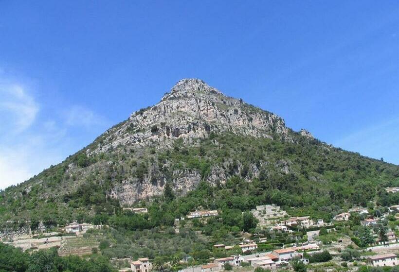 标准间, The Frogs House Yoga Retreat