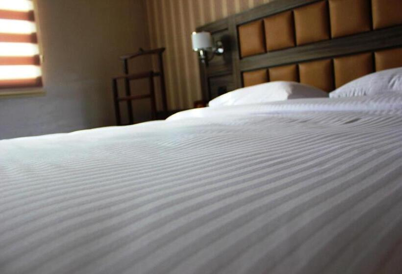 اتاق استاندارد, Avan Plaza