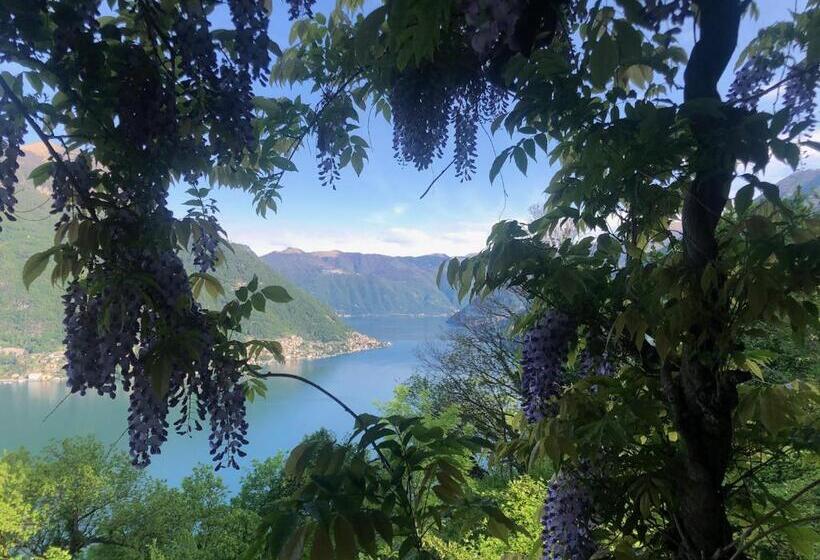 Номер Классический Вид на Озеро, B&b Villa Le Ortensie