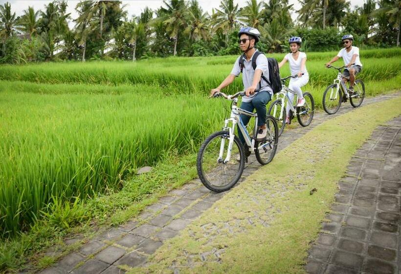 プール付き1ベッドルームヴィラ, Purana Boutique Resort