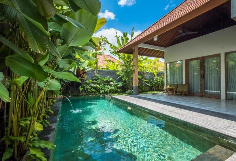 プール付き1ベッドルームヴィラ, Purana Boutique Resort