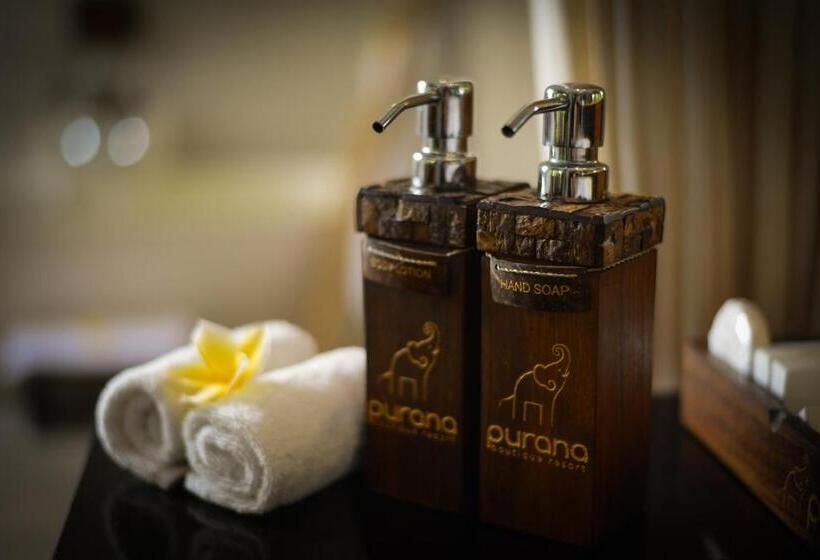 プール付き1ベッドルームヴィラ, Purana Boutique Resort