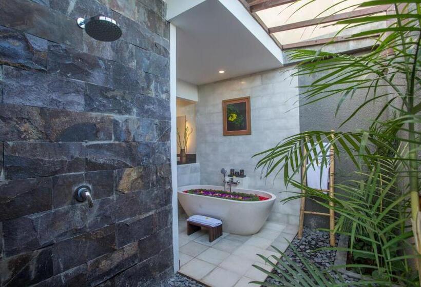 プール付き1ベッドルームヴィラ, Purana Boutique Resort