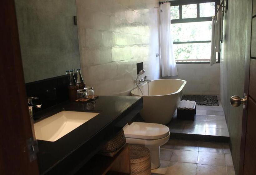 Номер Deluxe, Purana Boutique Resort