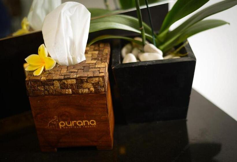 Люкс Повышенной Комфортности, Purana Boutique Resort