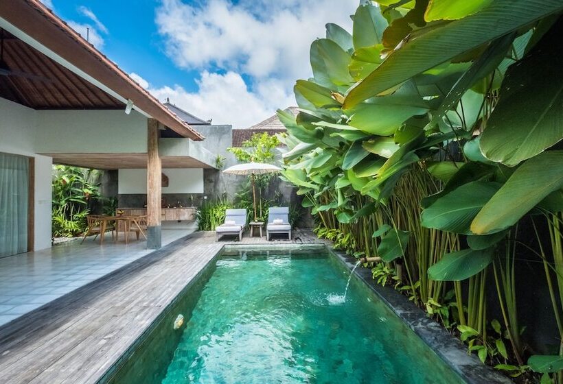 プール付き1ベッドルームヴィラ, Purana Boutique Resort