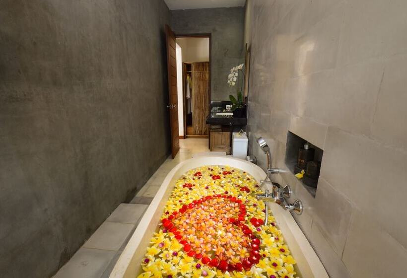 プールの見えるデラックスルーム, Purana Boutique Resort