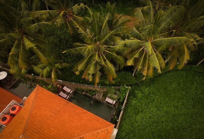 プールの見えるデラックスルーム, Purana Boutique Resort