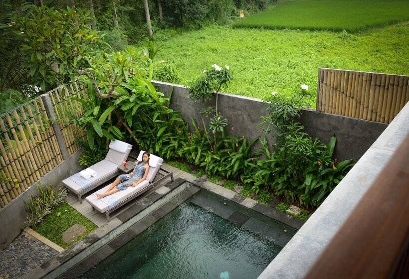 プールの見えるデラックスルーム, Purana Boutique Resort