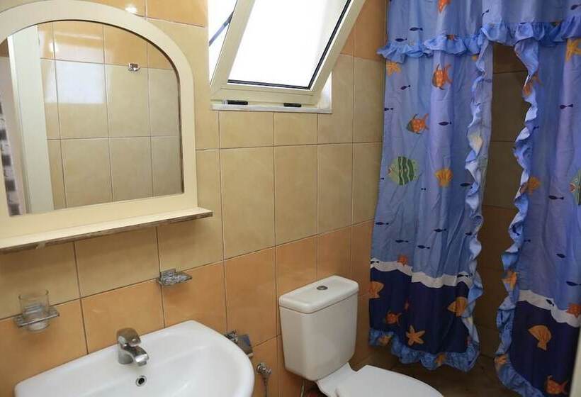 四人标准间, Qeparo Napolon Complex