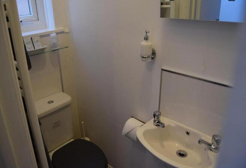 غرفة قياسية سرير كينج, The Aldor