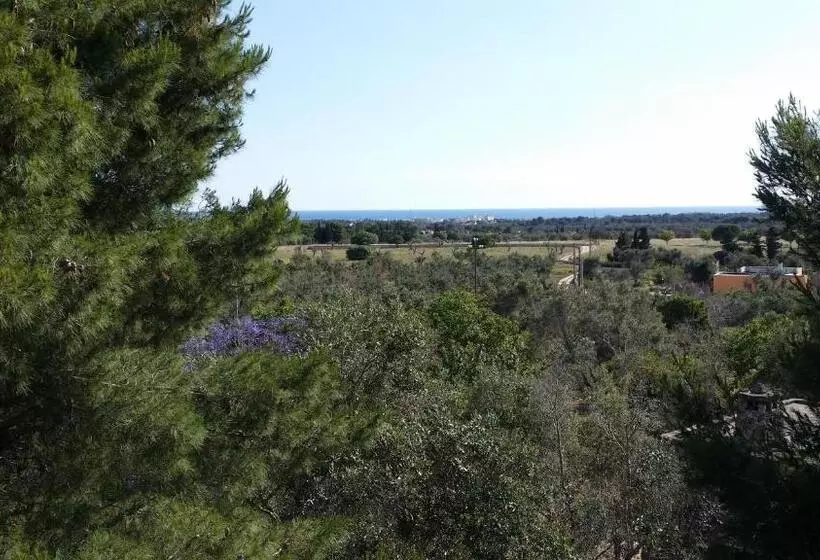 2ベッドルームハウス, Agriturismo Tenuta La Siesta