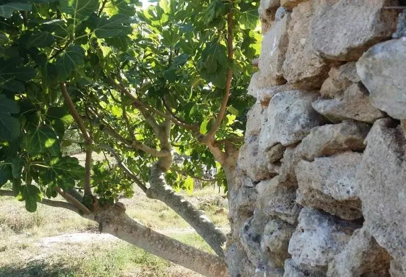 デラックスルーム, Agriturismo Tenuta La Siesta