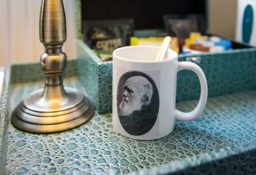 スタンダードルーム, Darwins Townhouse
