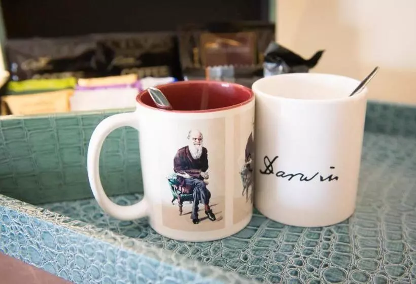 庭の見えるシングルルーム, Darwins Townhouse