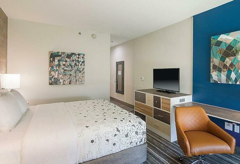 클래식 룸 킹 침대, Four Points By Sheraton Plano