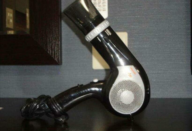 غرفة قياسية, Green Rich Hotel Hamada Ekimae