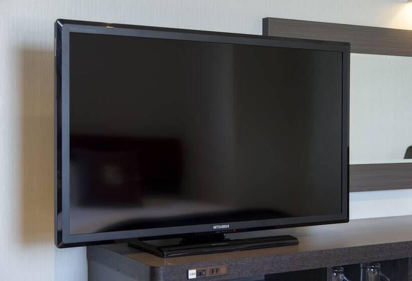 غرفة قياسية, Green Rich Hotel Hamada Ekimae