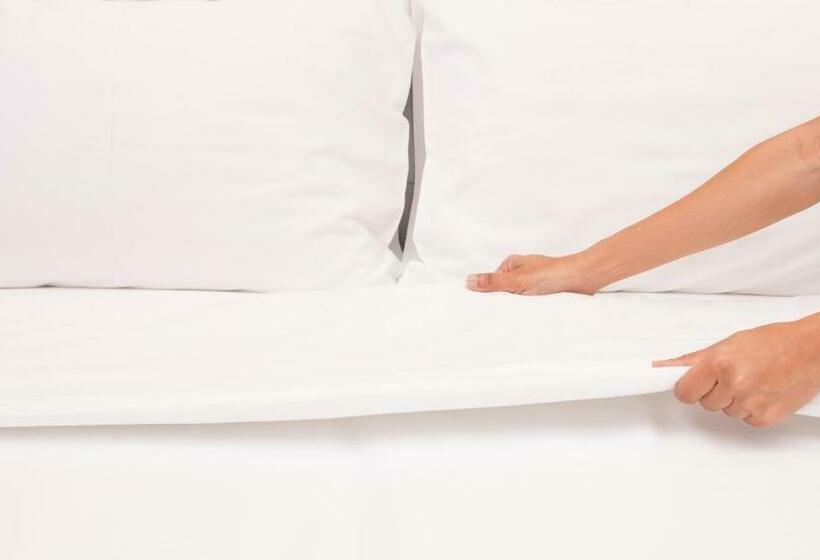 标准间, Executive Inn Schulenburg