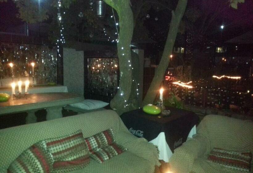 חדר דלוקס, 44 On Ennis Guest Lodge And Restaurant   No Load Sheddding