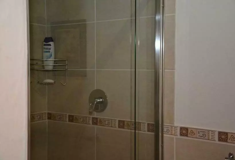 اتاق خانوادگی, Blue Crane Guest House Bloemfontein