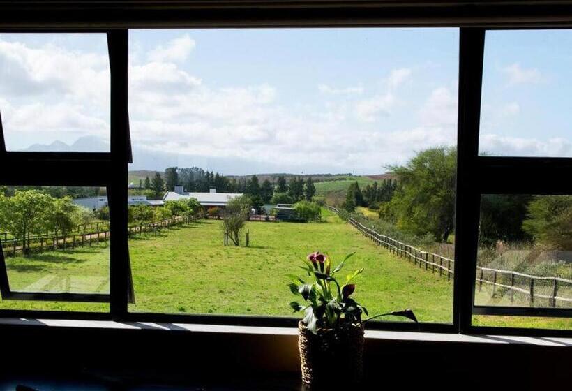 豪华房间, Galloway Guest House