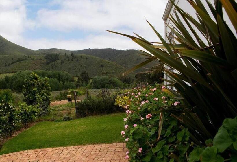 Дом 1 Спальня, Galloway Guest House