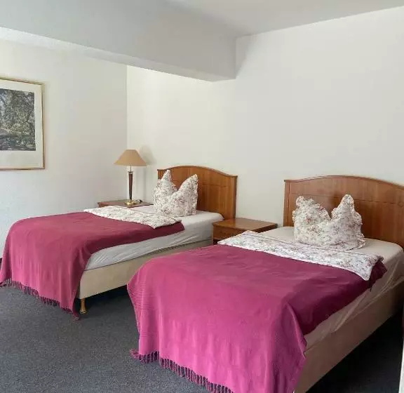 Deluxe-huone Parveke, Internat Schloss Spiegelberg