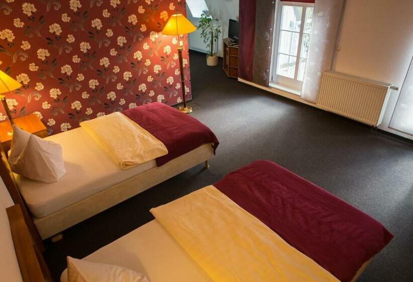 带阳台的豪华间, Internat Schloss Spiegelberg