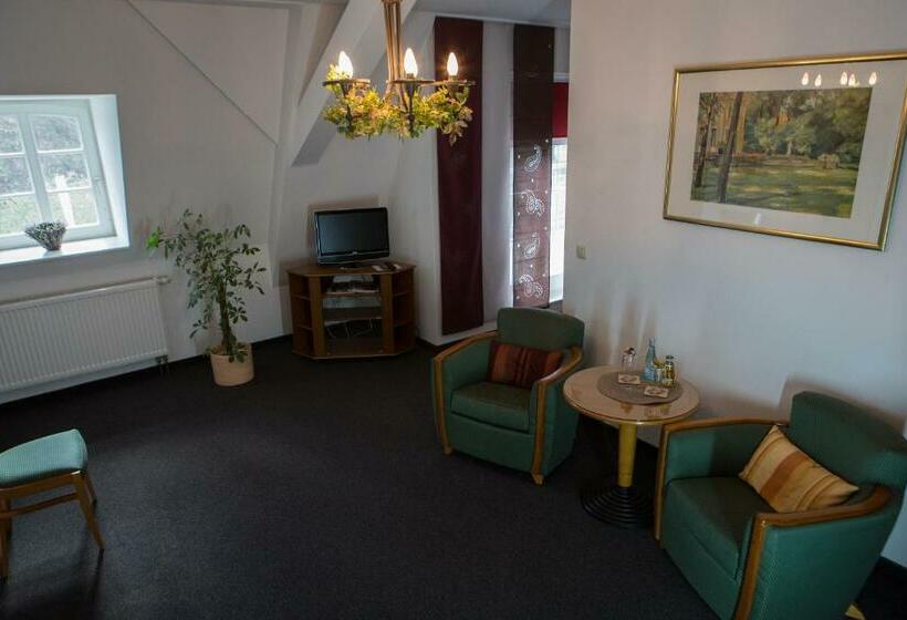 带阳台的豪华间, Internat Schloss Spiegelberg