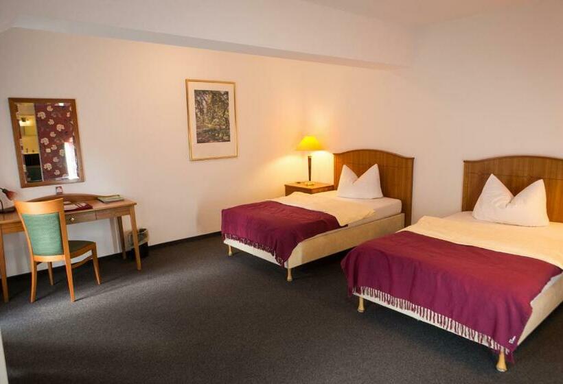 带阳台的豪华间, Internat Schloss Spiegelberg