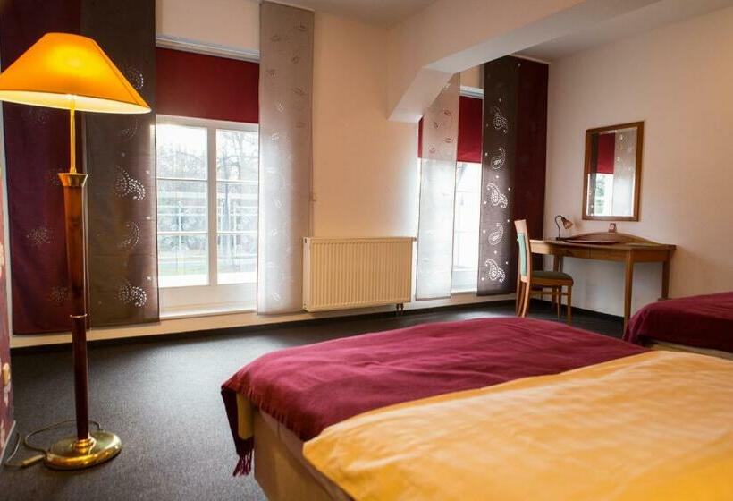 带阳台的豪华间, Internat Schloss Spiegelberg