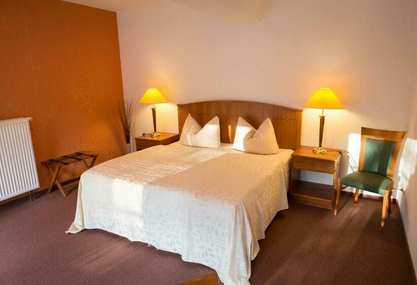 带阳台的豪华间, Internat Schloss Spiegelberg