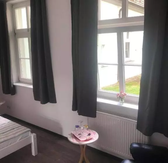 Standard-huone, Internat Schloss Spiegelberg