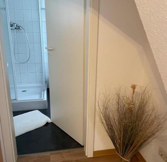 标准单人间, Internat Schloss Spiegelberg