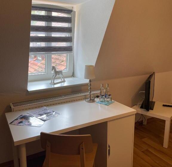 标准单人间, Internat Schloss Spiegelberg