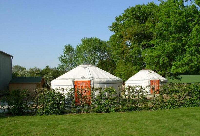 スタンダードルーム, La Libaudiere