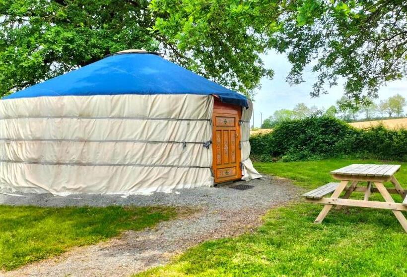 Номер Стандарт, La Libaudiere