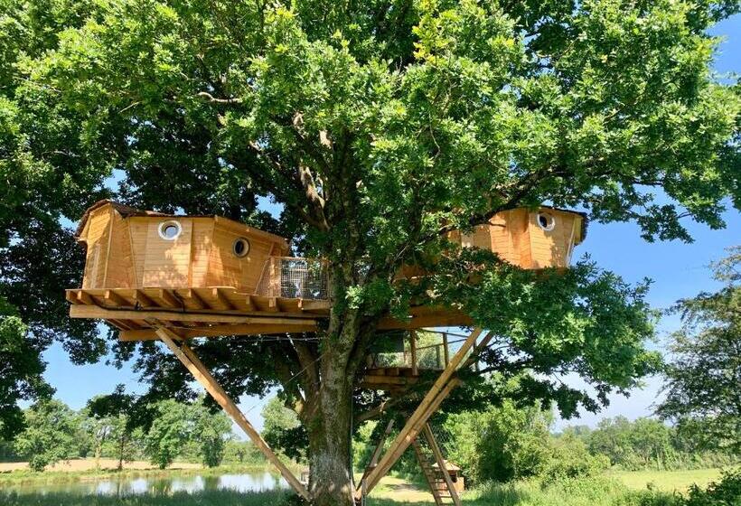 Дом 1 Спальня, La Libaudiere