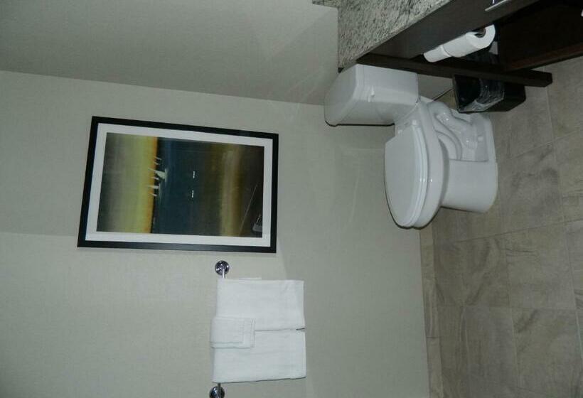 غرفة قياسية سرير كينج, Brookstone Lodge & Suites