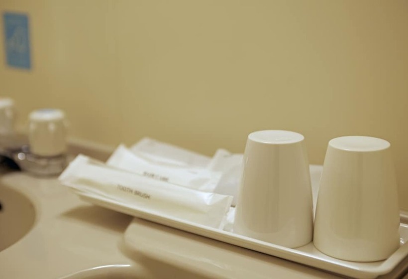 غرفة قياسية فردية, Country Hotel Takayama