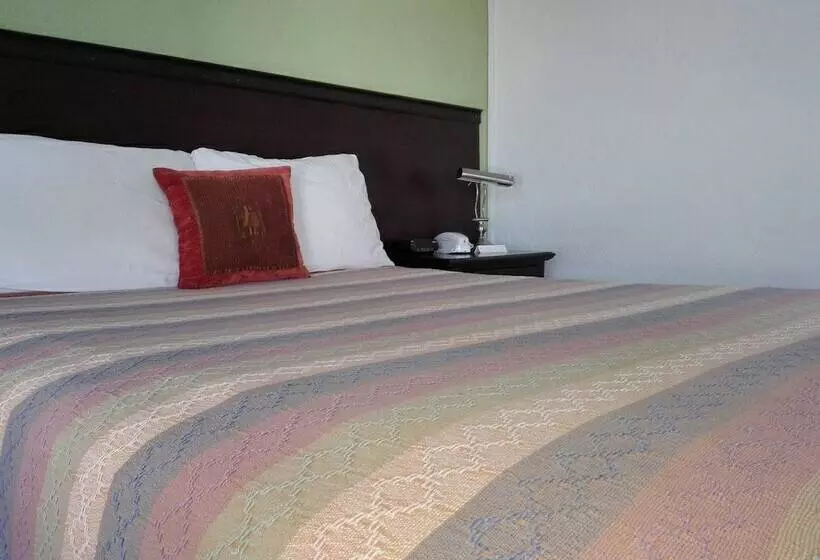 اتاق کلاس بیزنس, President House Hotel   Hostel
