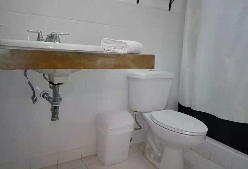 اتاق کلاس بیزنس, President House Hotel   Hostel