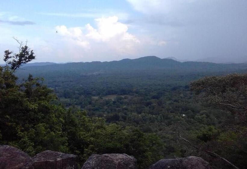 经济房, Elephant Safari Lodge Sigiriya Junction